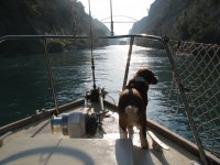 /album/el-veler-trinidad-ii/corinth-4-jpg/